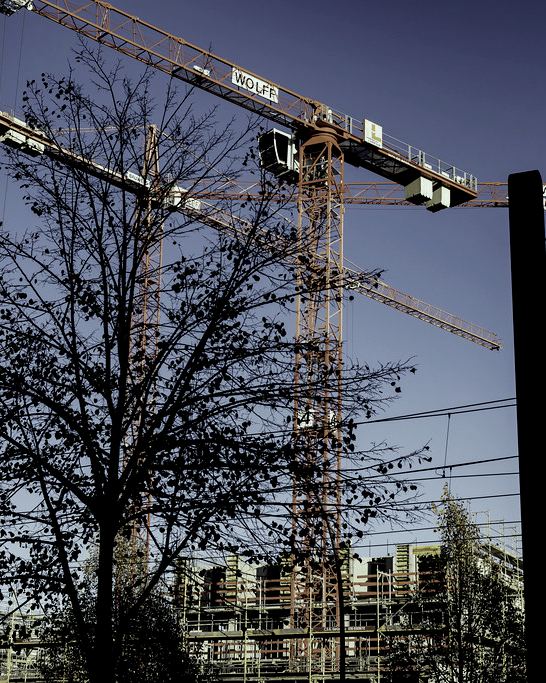 Tower cranes rising over a construction site